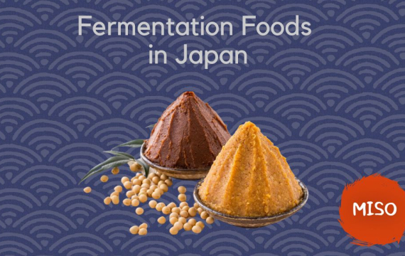 Fermentation Foods in Japan: Miso